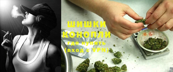 молекула духа Няндома