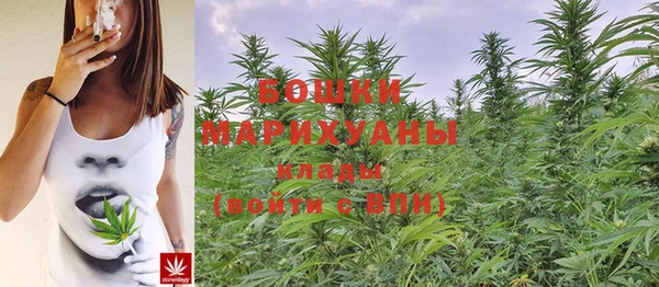 стафф Нягань