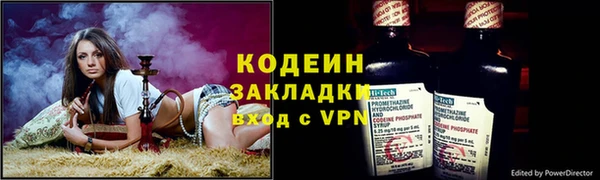 молекула духа Няндома