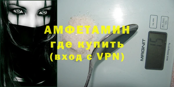 молекула духа Няндома