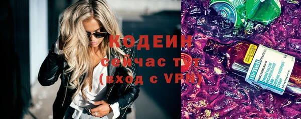 молекула духа Няндома