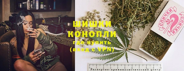 молекула духа Няндома