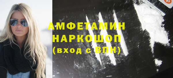 молекула духа Няндома