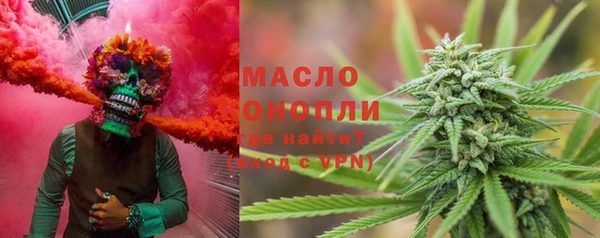 молекула духа Няндома