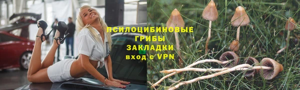 тгк Нязепетровск