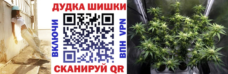 что такое   Ветлуга  Каннабис Amnesia 